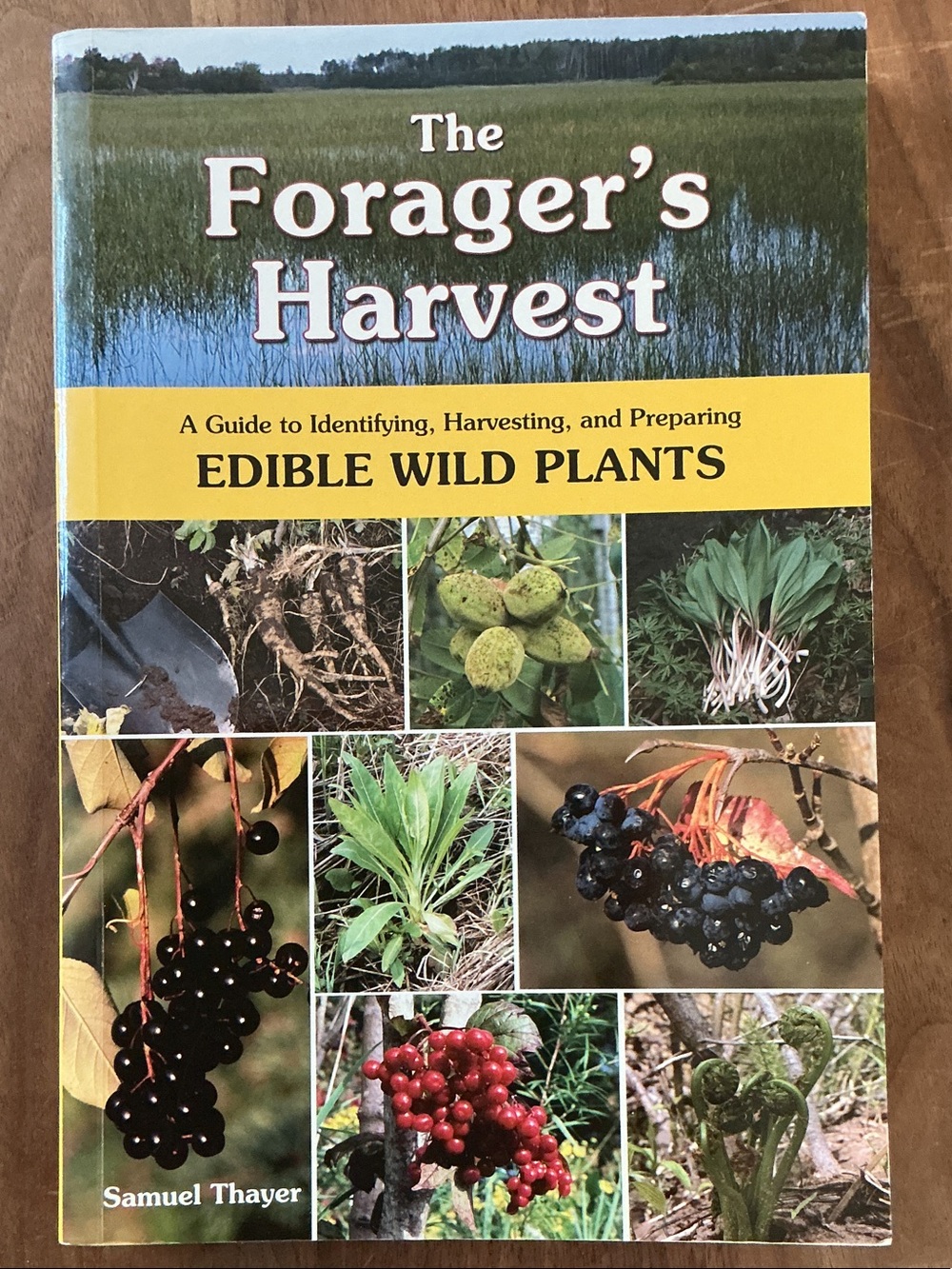 The Foragers Harvest